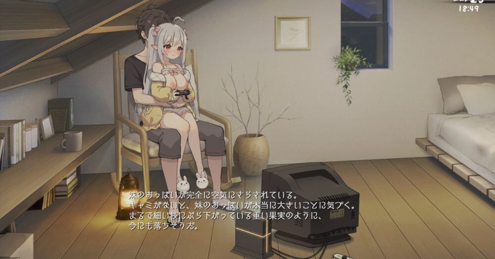 存在感薄い妹との簡単生活の抜きポイントとなる手描きアニメHシーン2