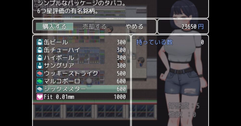 誘惑の温泉旅行~理性と背徳の一泊二日~のゲームシステム画面